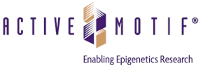 Active Motif