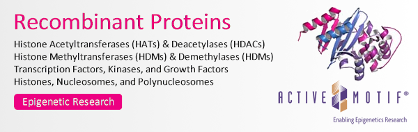 Active Motif Recombinant Proteins