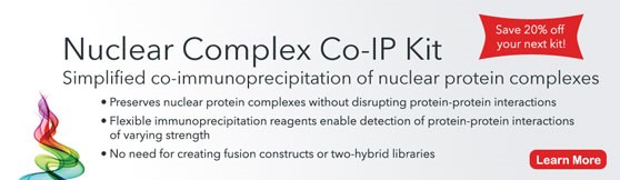 Nuclear Complex Co-IP