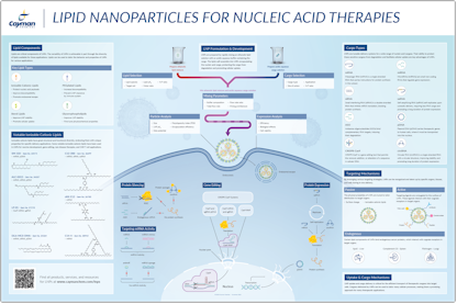 Poster_Cayman_Lipid_Nanoparticles_for_Nucleic_Acid_Therapies