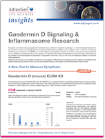 Gasdermin D Signaling and Inflammasome Research