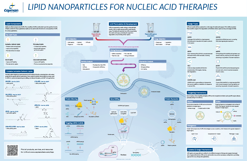Cayman_poster_Lipid_Nanoparticles_for_Nucleic_Acid_Therapies