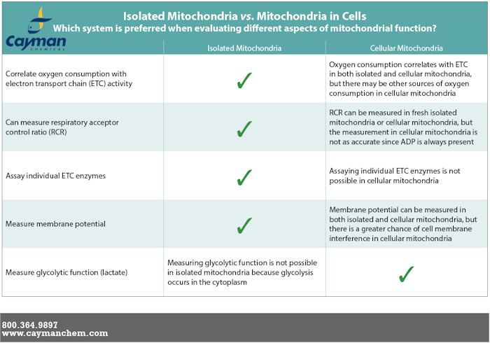 Isolated mitochondria versus cells