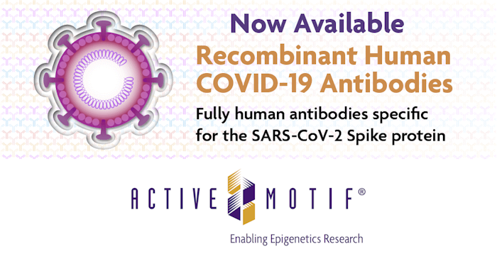 Recombinant_Antibodies_Active_Motif