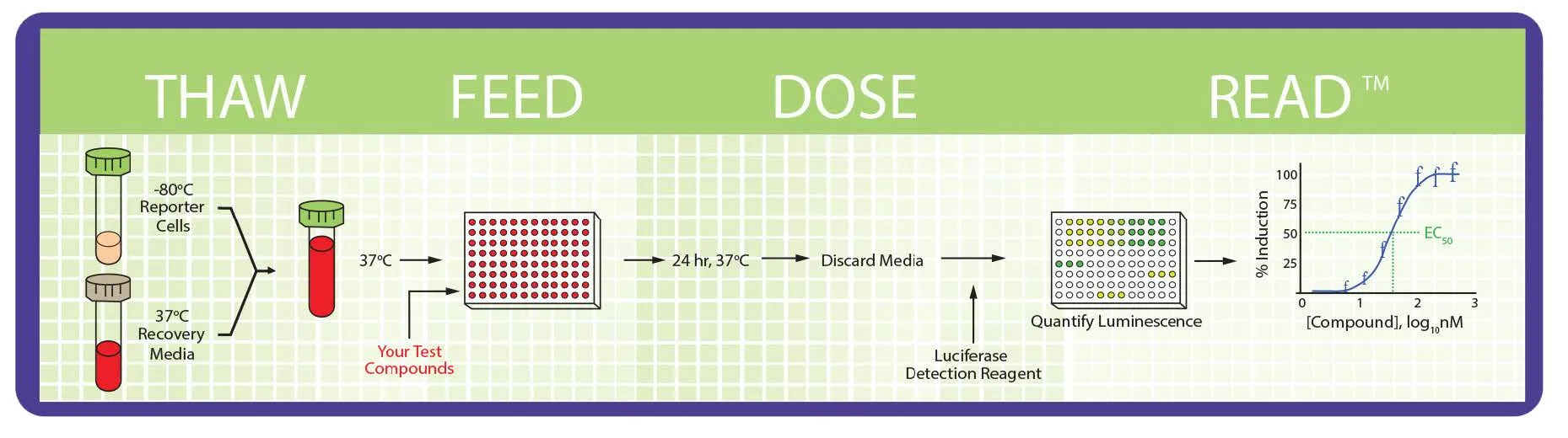 Indigo Biosciences