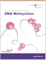 Active Motif DNA Methylation Products and Services