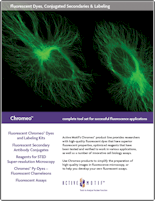 Fluorescence Active Motif