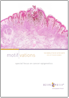 MotifVations Cancer Epigenetics