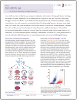 CDy1 datasheet