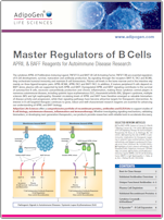 AdipoGen_Master_Regulators_of_B_Cells