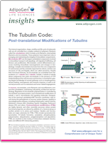 Adipogen Tubulin Code and PTMs Insights