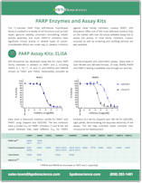 PARP Enzymes & Assay Kits - BPS 