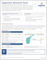 Cayman Epigenetics Research Tools