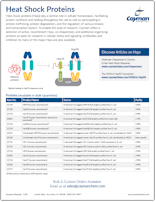 Cayman Heat Shock Proteins