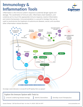 Immunology and Inflammation