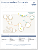 Cayman Receptor-Mediated Endocytosis Assays