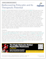 Cayman_Rediscovering_Psilocybin_News_Article