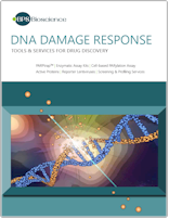 DNA_Damage_Resposnse