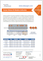 RevMab_H3_Mutation_Antibodies