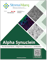 StressMarq Alpha Synuclein