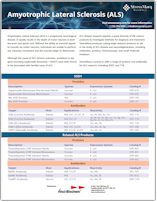 StressMarq Amyotrophic Lateral Sclerosis (ALS)