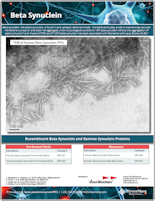 StressMarq Beta and Gamma Synuclein Proteins