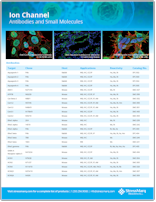 StressMarq Ion Channels Antibodies & Small Molecules