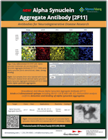 StressMarq New Product ASyn Antibody